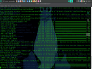 Xfce Atualizando todo o Manjaro  sudo pacman -Syyuu